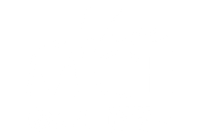 Vive Mice 2025
